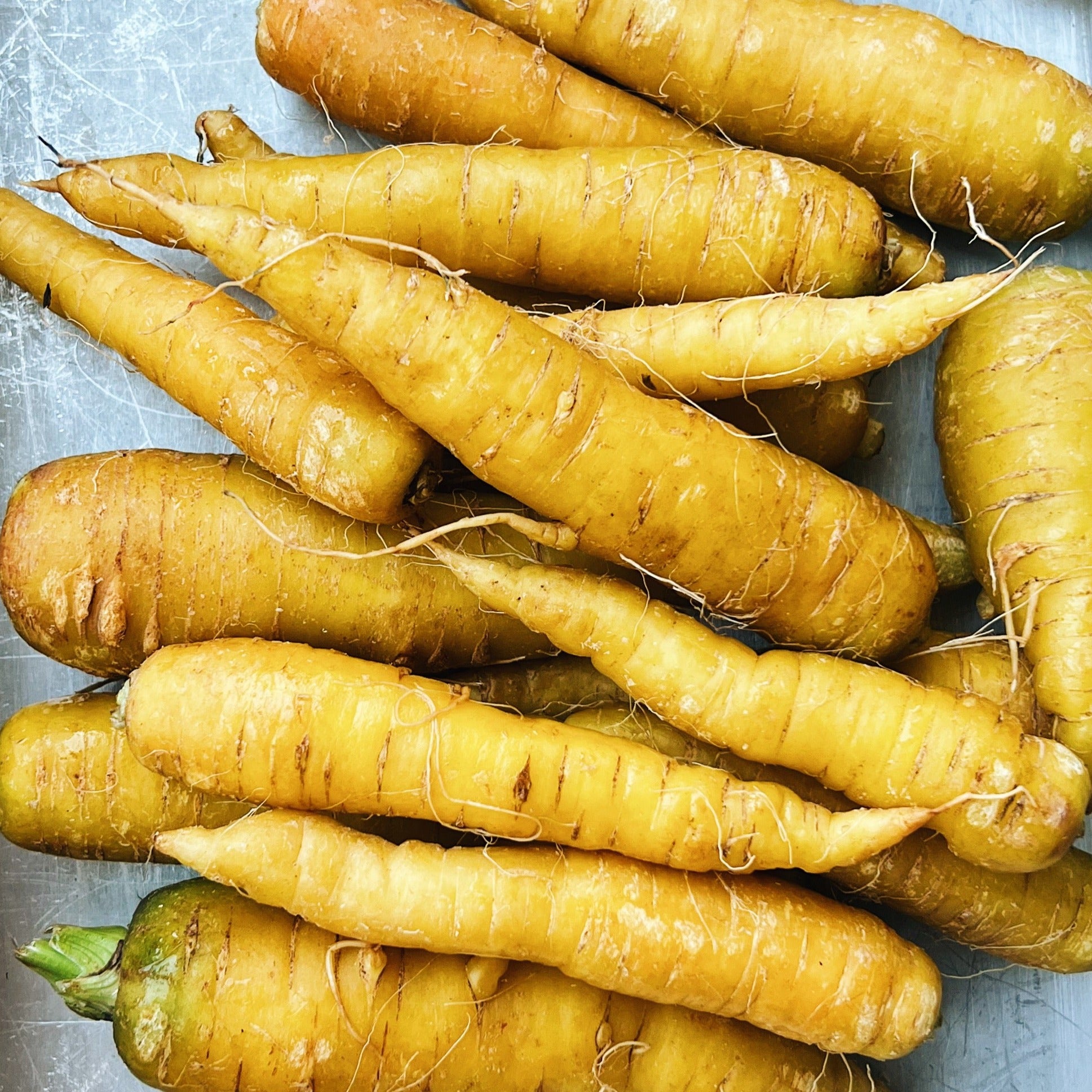 North Arm Farm Yellow Carrots