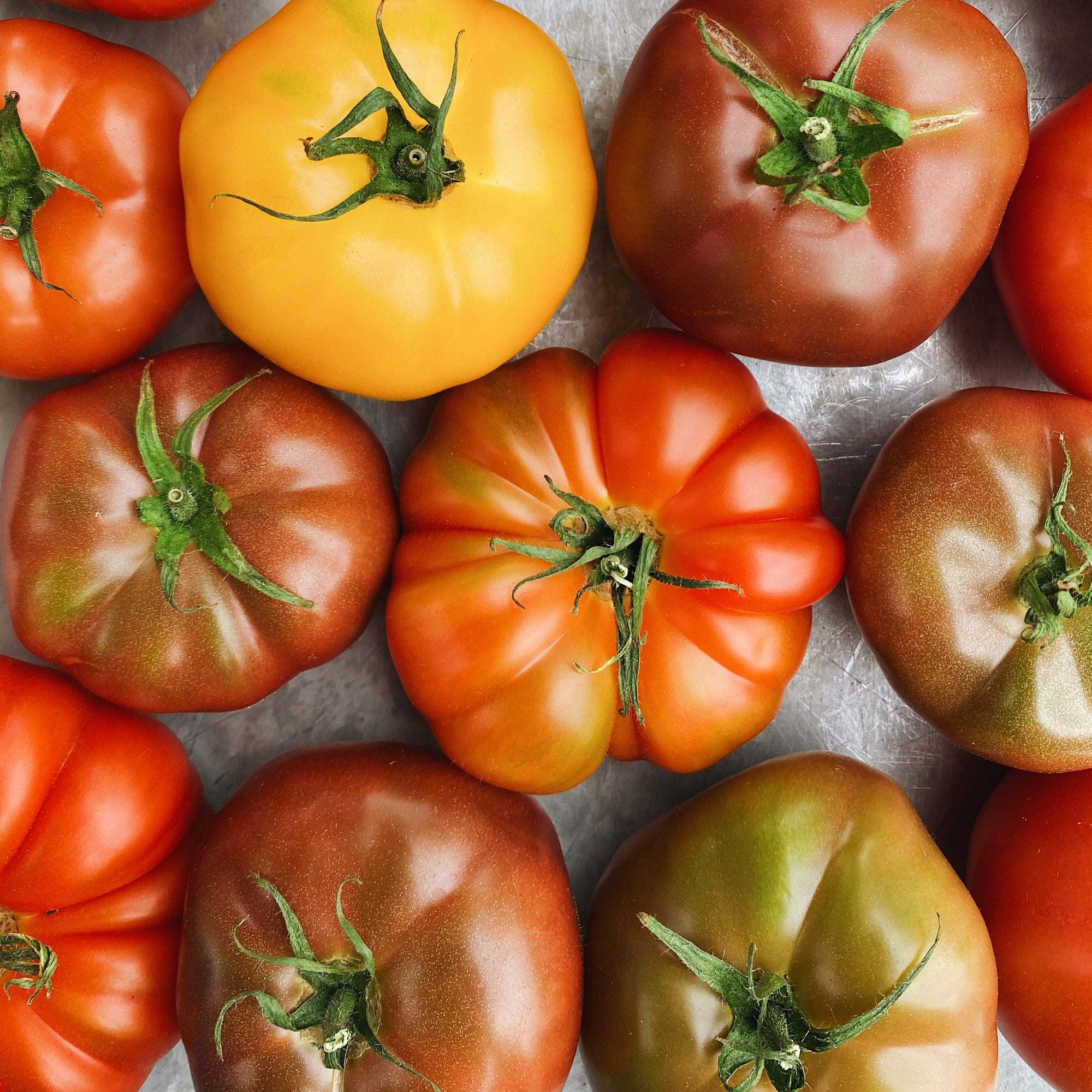 Organic BC Grown Heirloom Tomatoes