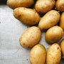 North Arm Farm BC Grown Yukon Gold Potatoes