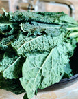 Organic Lacinato Kale