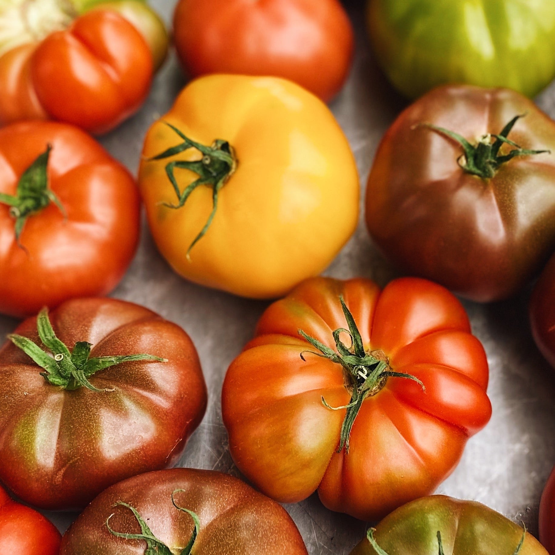 Organic BC Grown Heirloom Tomatoes