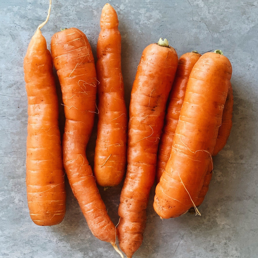 1 LB Pack Organic Table Carrots