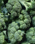 UBC Farm Organic Broccoli