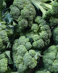 Organic Broccoli