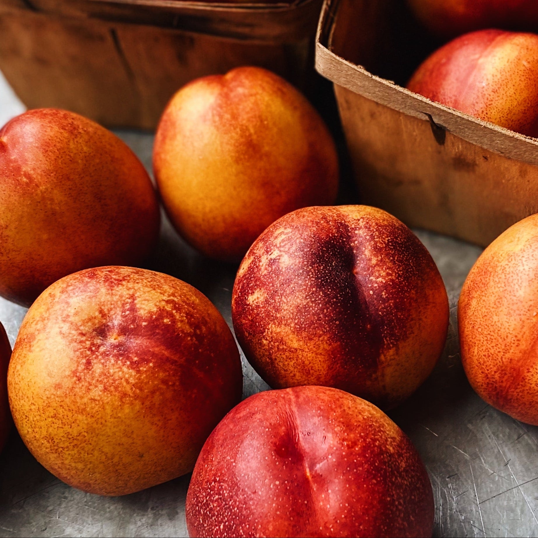 4 Pack Organic Nectarines