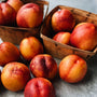 BC Grown Organic Nectarines