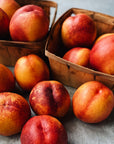 BC Grown Organic Nectarines