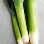 UBC Farm Organic Leeks