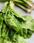 UBC Farm Spinach Bunch