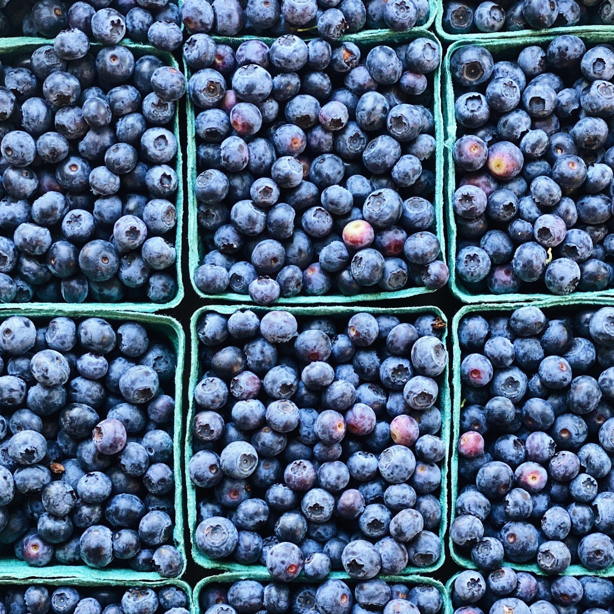 Premium BC Grown Blueberries
