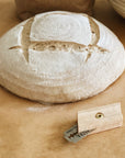 Organic Whole Grain Marquis Wheat Flour