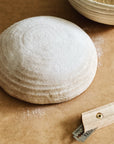 Organic Whole Grain Marquis Wheat Flour