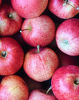 Organic BC Gala Apples
