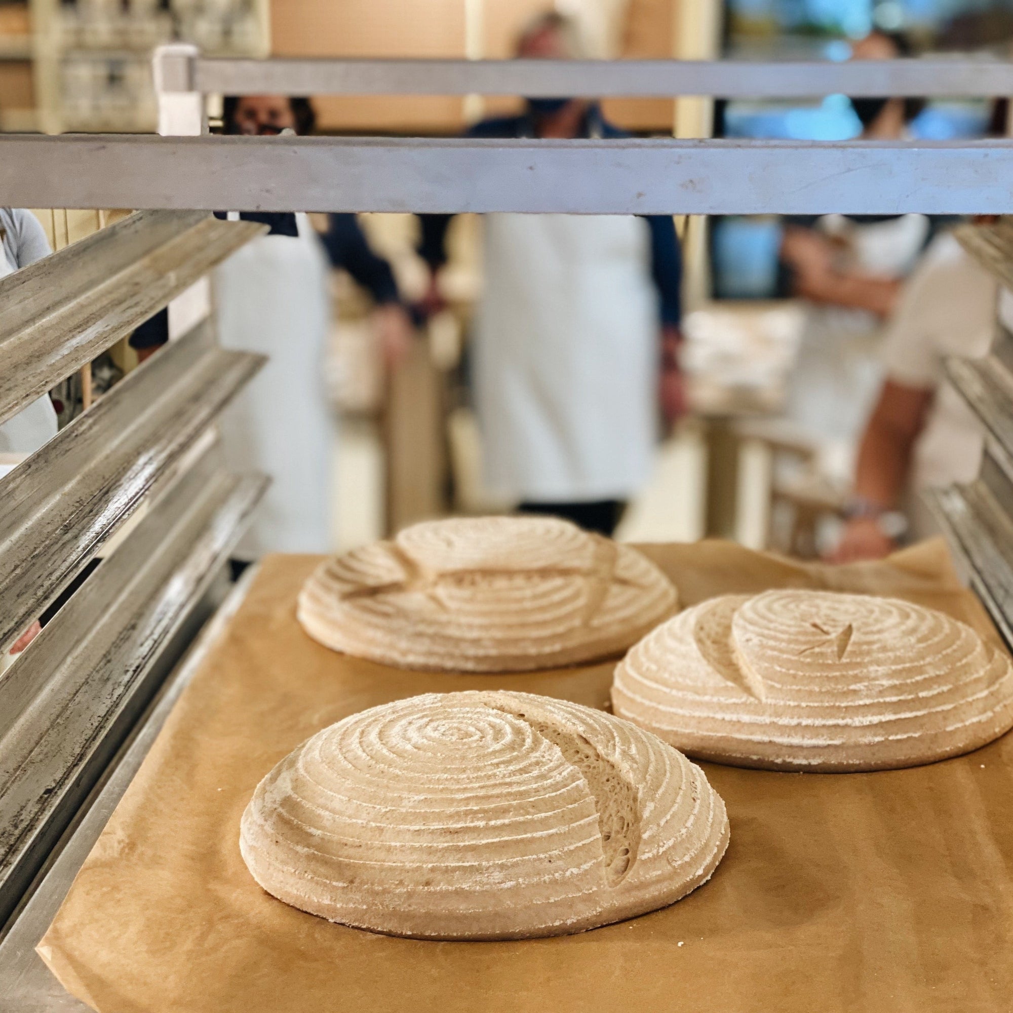 Sourdough Bread Class