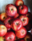 BC Grown Premium Salish Apples