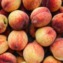 BC Grown Red Haven Peaches 2 Pack