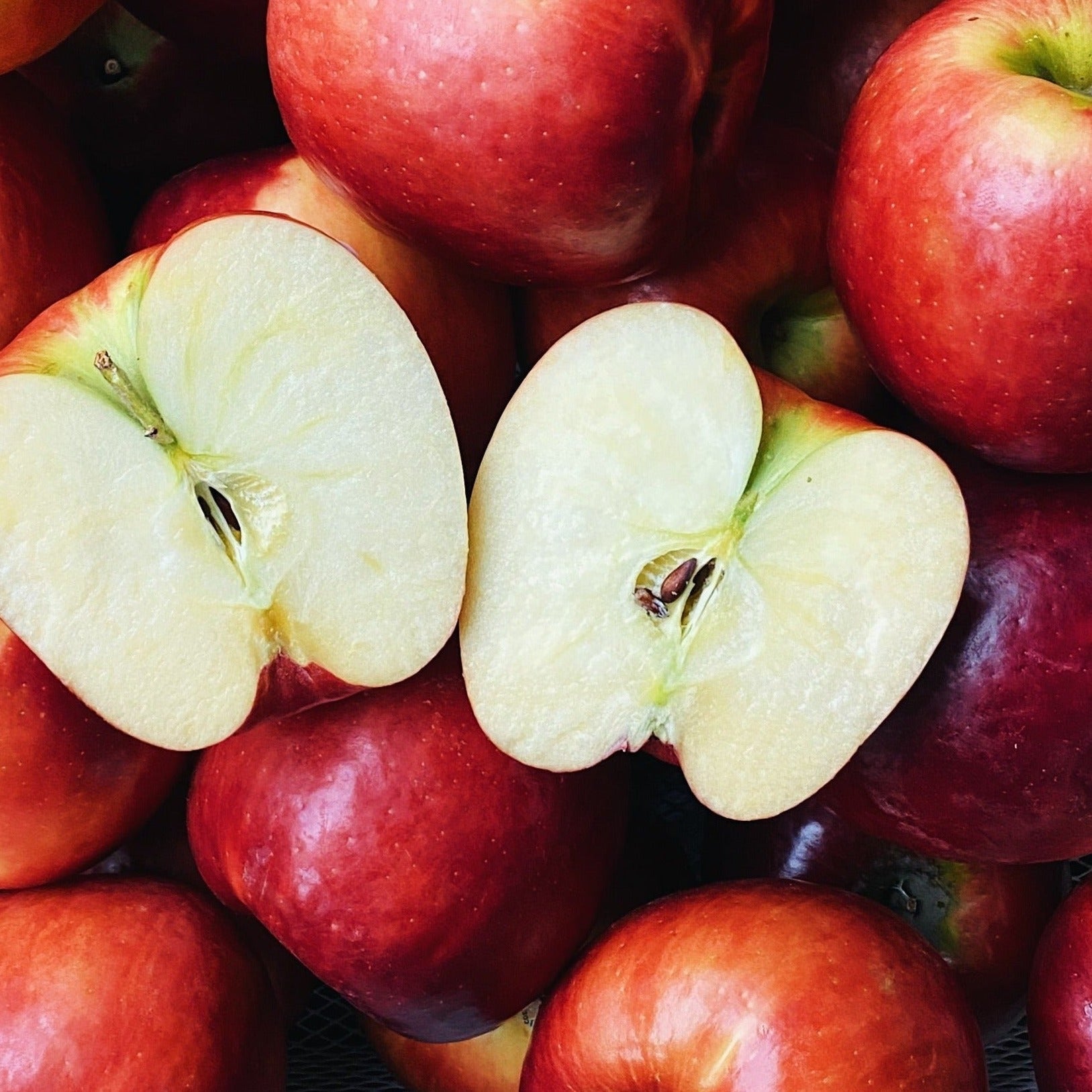 4 Pack &#39;Cosmic Crisp&#39; Apples