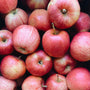 BC Grown Gala Apples
