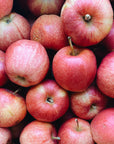 Organic BC Gala Apples