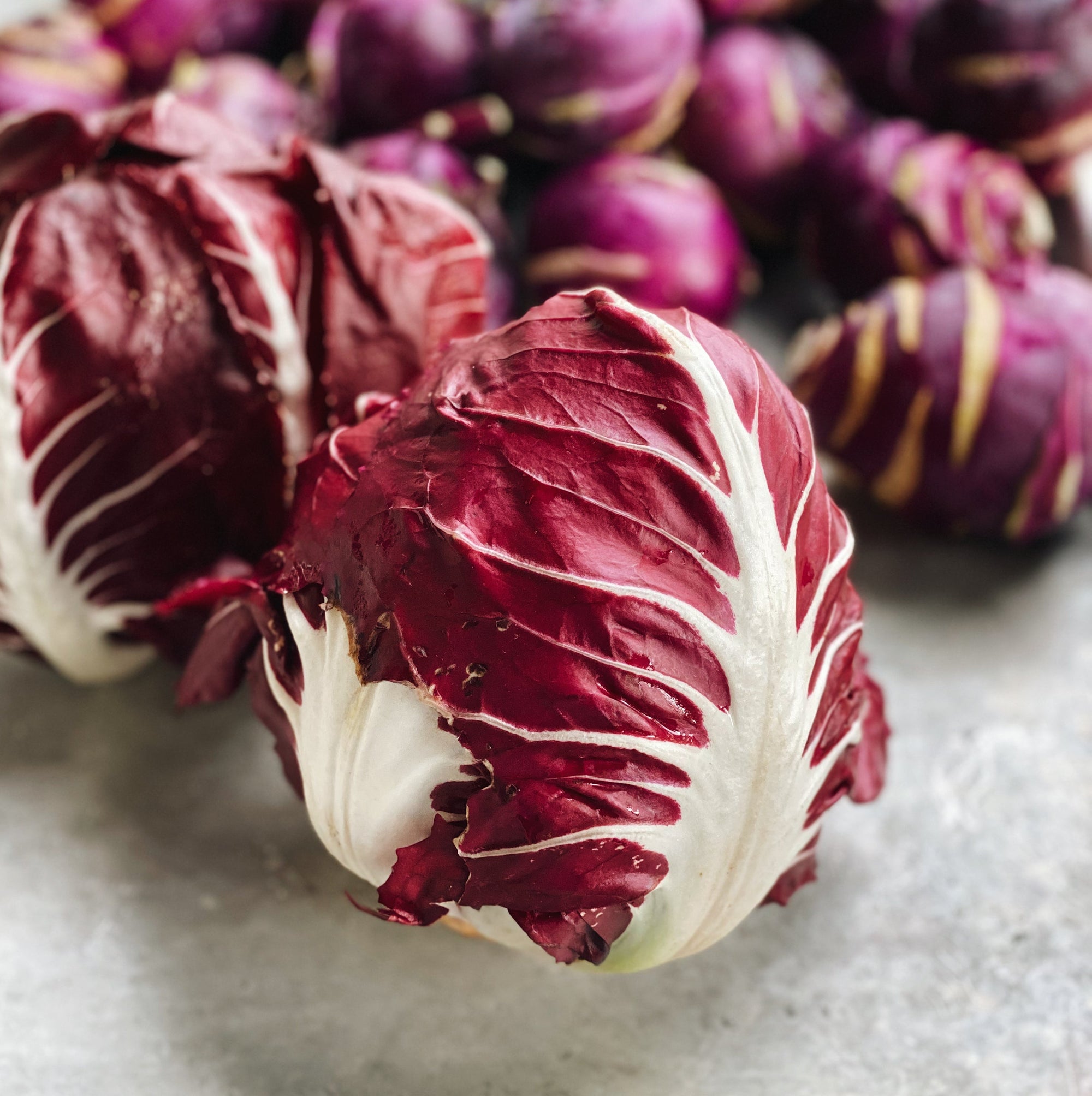 Pemberton Radicchio Half Head