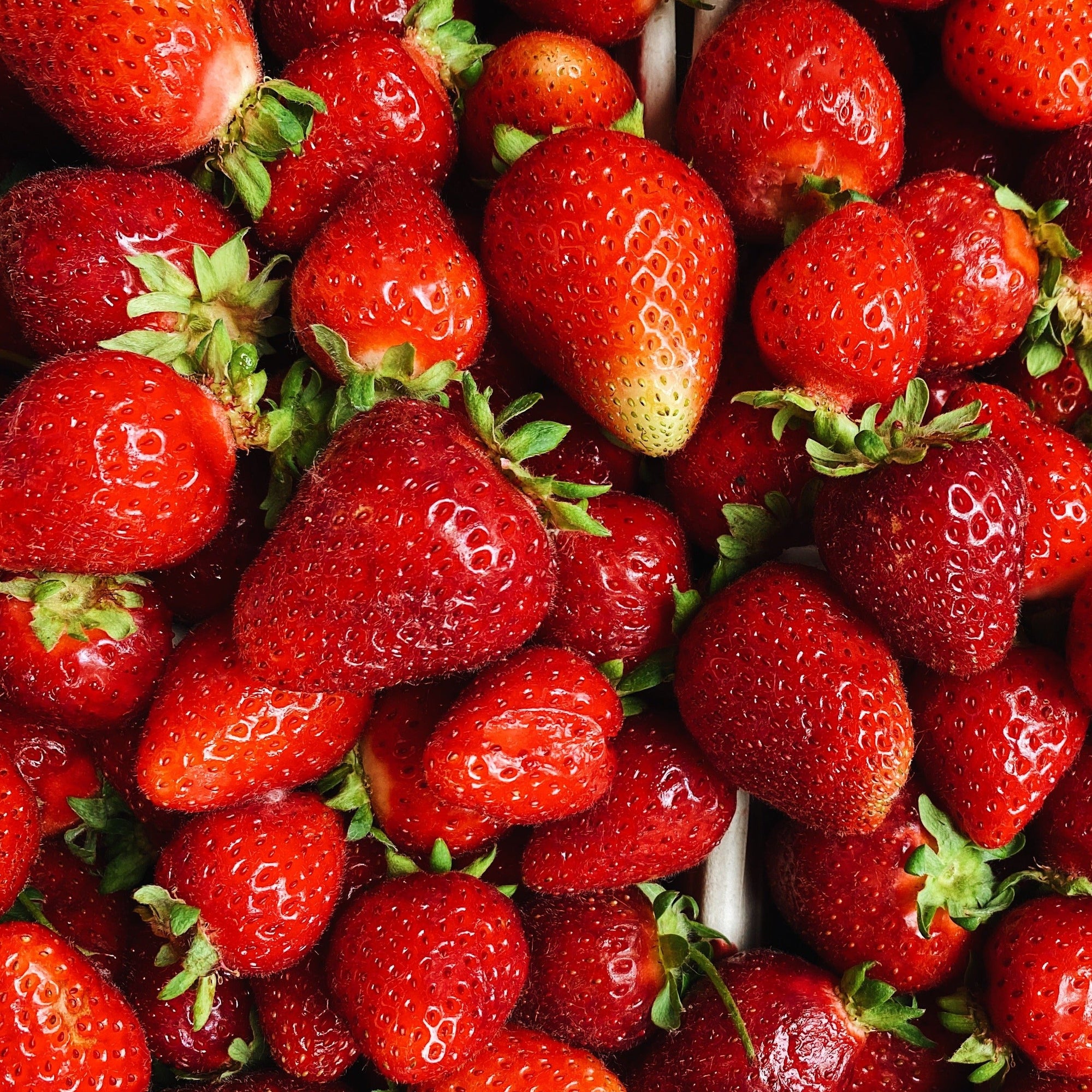 Premium Organic Strawberries