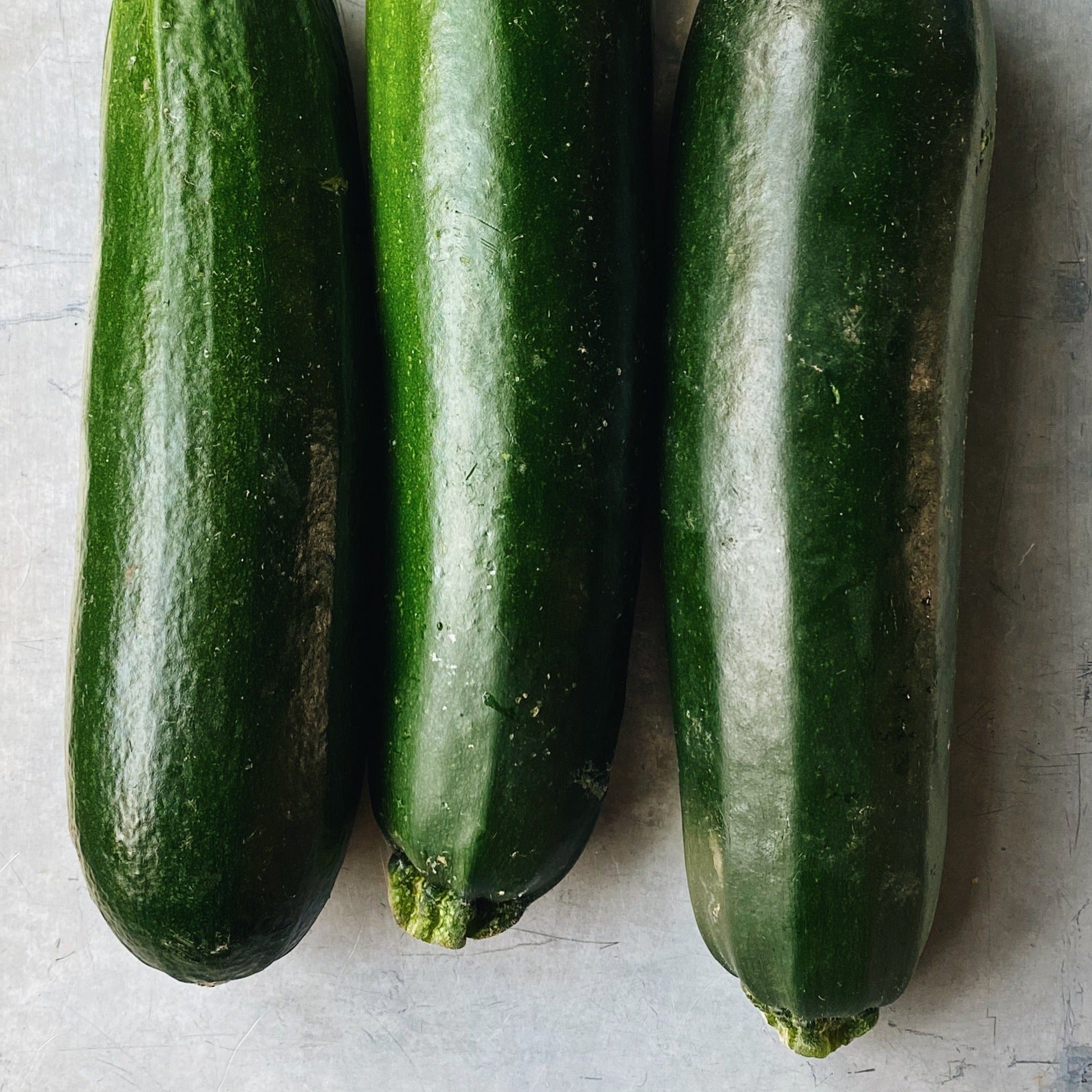 Zucchini - 2 Pack