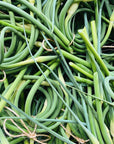 Local Harvest Garlic Scapes