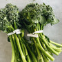 Organic Broccolini